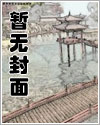 穿越后我嫁给了两个男人(np)